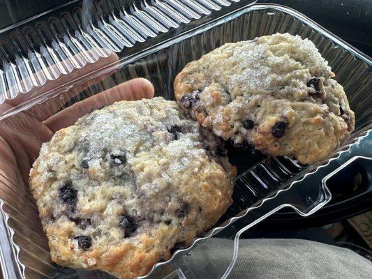 Blueberry Scones