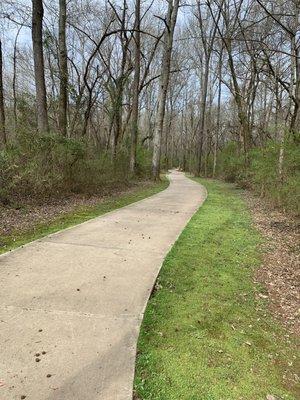 Trail (heading back to Flippen road lot)