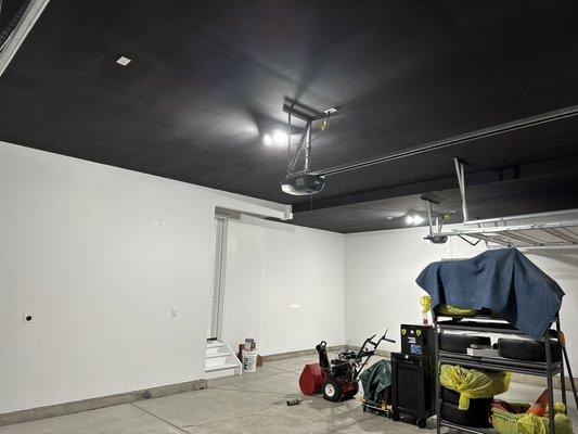 Garage wall and ceiling paint