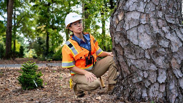 Bartlett Tree Experts - Shepherdstown