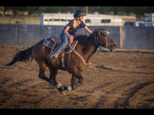 Copperwood Training Stables