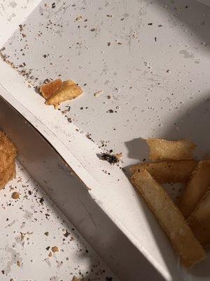 Found this crispy little fly in my fries