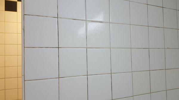 Mold in grout