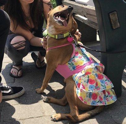 Happy baby at her fundraising event!