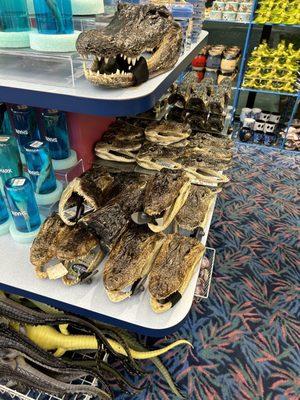 Alligator heads