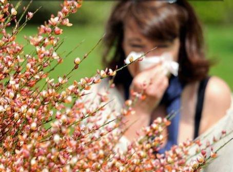 Pollen = sneezing