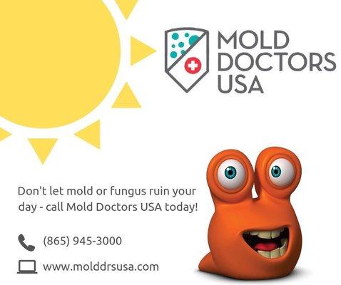 Fungus IS Mold!!!!