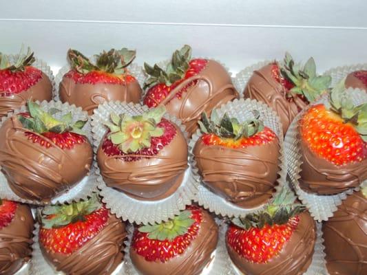 Chocolate Covered Strawberries