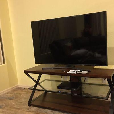 Tv with stand