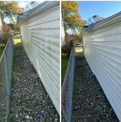 Before and after, the north side of my garage.