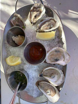 Fresh Oyster on the 1/2 Shell