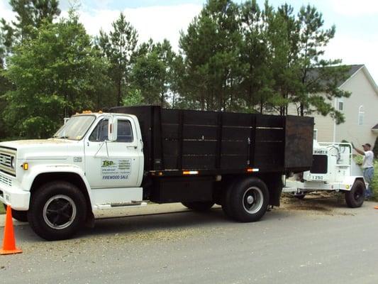 Tree Service photo