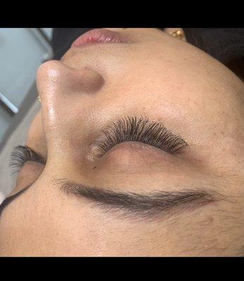 Flutter Lash Bar