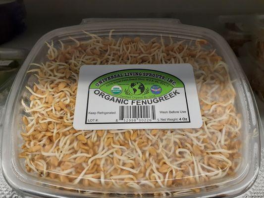 Sprouted Fenugreek