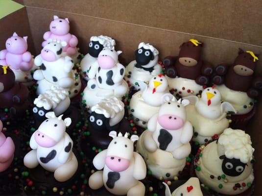 Animal Cupcakes!!