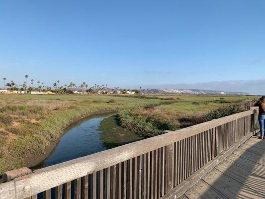 Looking south east towards Mexico from the McCoy trail