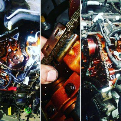 Timing Belts and Chains