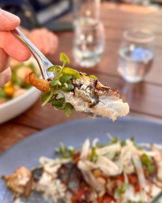 BRANZINO fennel, sauce vierge