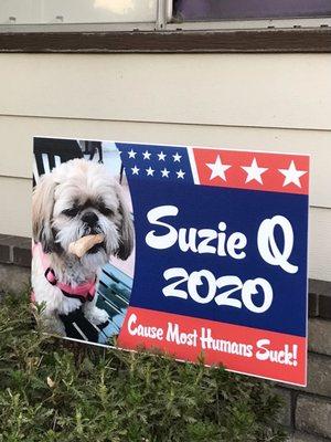 Suzie Q