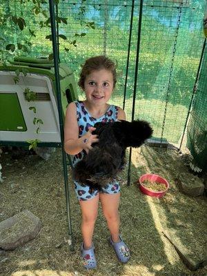 My daughter loves the silky breed chickens! This was her first time holding one! Who needs underwood!