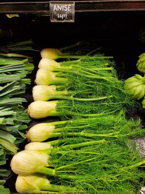 Fennel