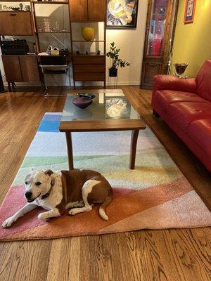 CB2 Rug and friend