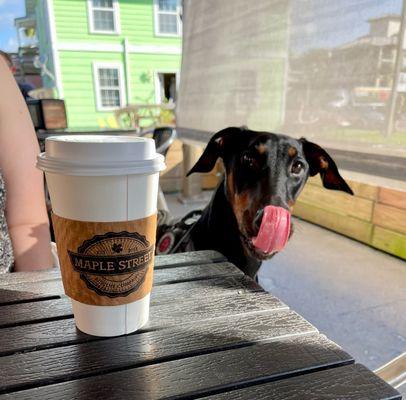 Biscuits and gravy, and our dog, Maple!