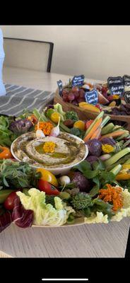 Veggie Platter with Hummus Dip