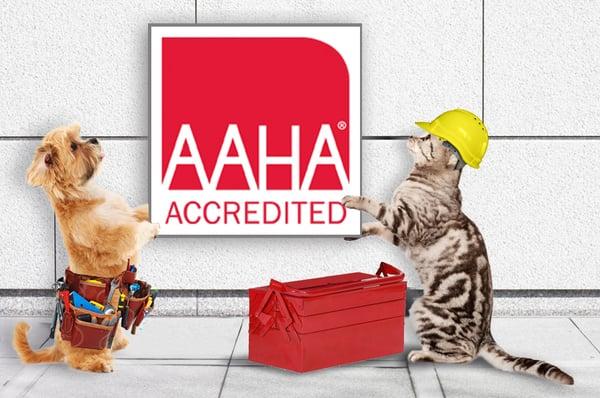 Indian Creek is proud to be an AAHA accredited member since 1999.