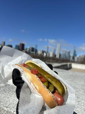 Chicago Dog