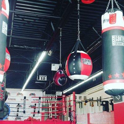 Ced's Boxing Academy, boxing ring, heavy bags, two speed bags, upper cut water bags, battle ropes,