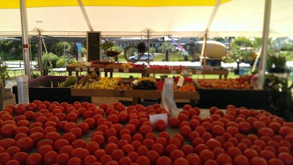 The best local produce in town now featuring premium field tomatoes and sweet corn from johns island and the best SC peaches.