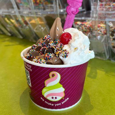 Menchie's Frozen Yogurt