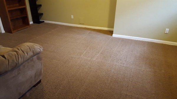 CT Solutions  Phone: 303-667-0117 9956 W Remington Pl A10-151  Littleton, Co 80128 Littleton Carpet Cleaner