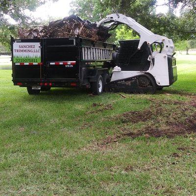 SANCHEZ TRIMMING and LANDSCAPING SERVICES,LLC
need tree trimming or clean ups call SANCHEZ 3215075811