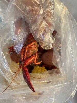 Bag O' Crab: size of Crawfish