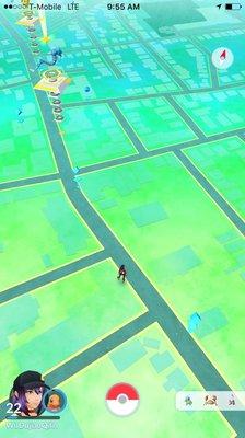 No Pokémon today?