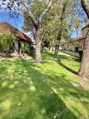 A perfect place to walk your dog and enjoy our practice in the heart of Redlands