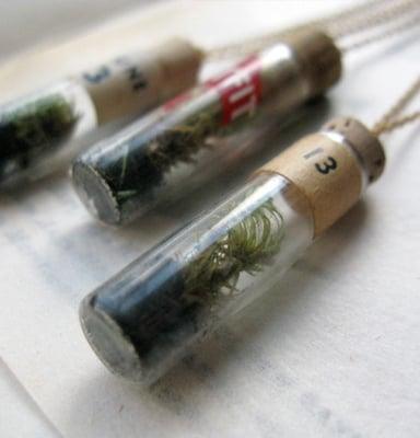 Flora vial necklace. Interwebs pic