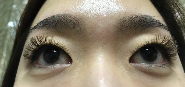 3d lashes