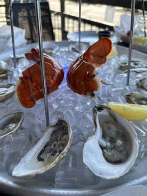 Seafood Appetizer Sampler