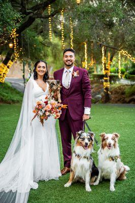 Congrats Phil and Monica and the Puppies!