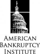 Member - American Bankruptcy Institute