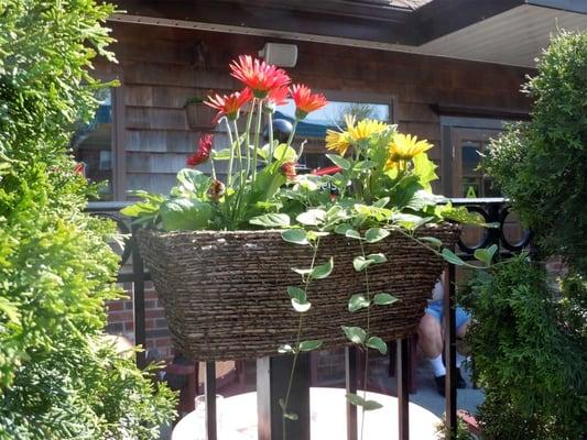 Flower Boxes on the Patio