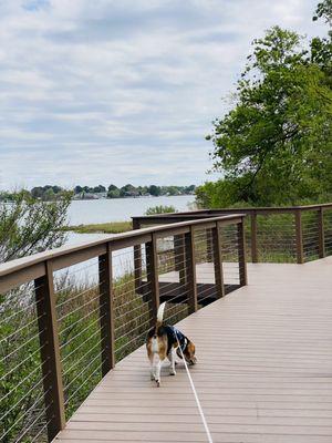 One of many lovely walking paths