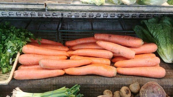 Carrots