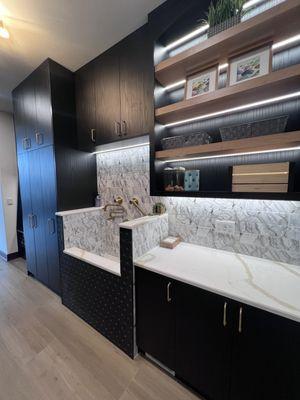 Modern mudroom/Loundry room with dog bath