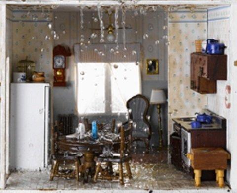 water damage repair