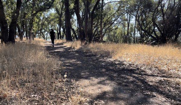 Robie Point trail