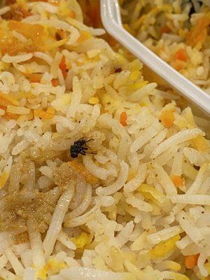 Fly cooked into the rice